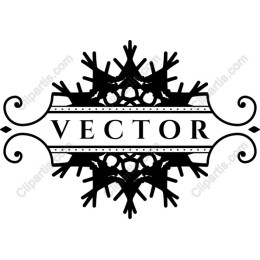 Elegant Snowflake