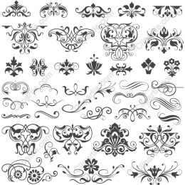 Elegant Floral & Ornamental Collection