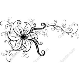 Elegant Floral Swirl