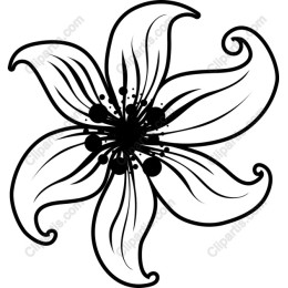 Elegant Black and White Flower