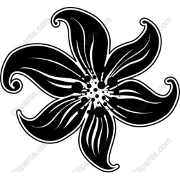 Elegant Black Flower
