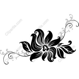 Elegant Black Floral