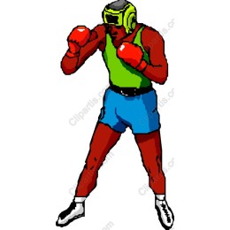 Vibrant Boxing Fighter
