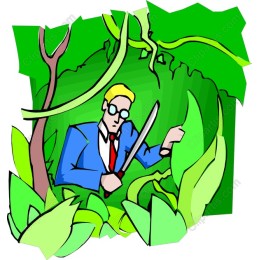 Jungle Explorer Adventure