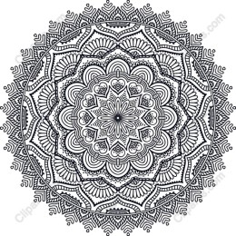 Intricate Mandala