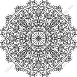 Intricate Mandala