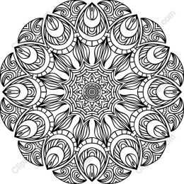 Stunning Black and White Fish Mandala