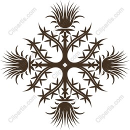 Botanical Symmetry
