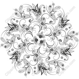 Elegant Floral Paisley
