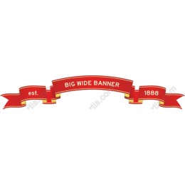 Big Wide Banner