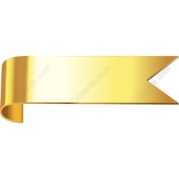 Elegant Golden Ribbon