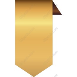 Elegant Golden Ribbon