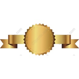 Gold Award Badge