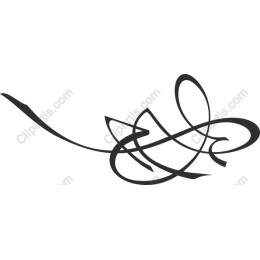 Elegant Black Swirl