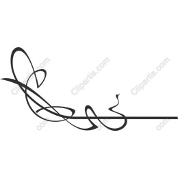 Intricate Decorative Line