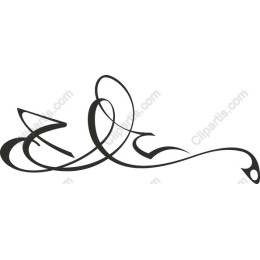 Elegant Flourish