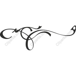 Elegant Swirl