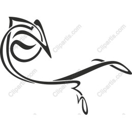 Elegant Flowing Lines