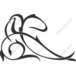 Elegant Organic