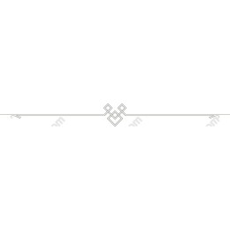 Elegant Geometric