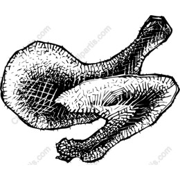 Artistic Chicken Leg