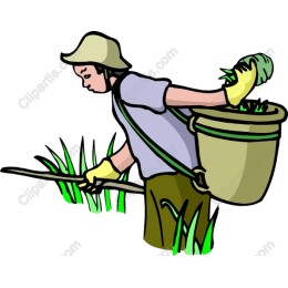 Dedicated Farmer
