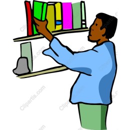 Colorful Book Organization