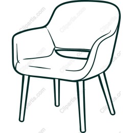 Elegant Modern Chair