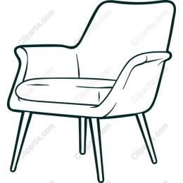 Chic Armchair