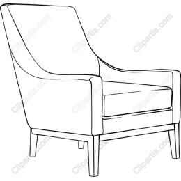 Elegant Modern Armchair