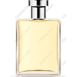 Elegant Perfume Bottle