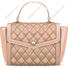 Elegant Quilted Handbag