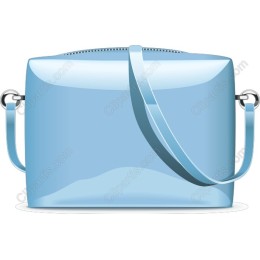 Elegant Blue Handbag
