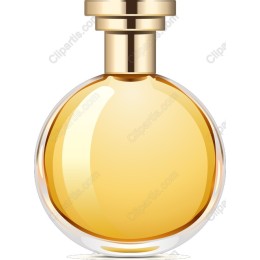 Classic Elegance Perfume Bottle