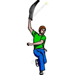 Dynamic Cricket Player