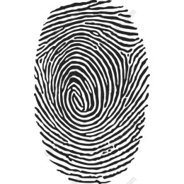 Unique Black and White Fingerprint