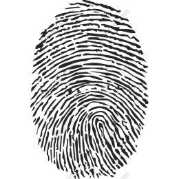 Fingerprint - Identity and Security