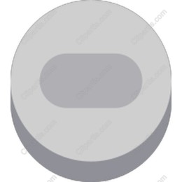 Sleek Gray Button