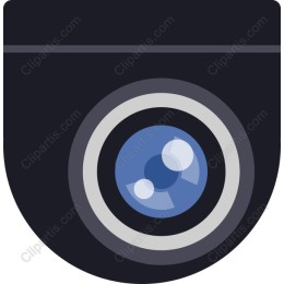 Sleek Surveillance Camera