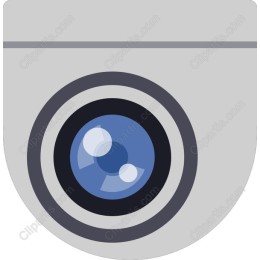 Sleek Surveillance Camera