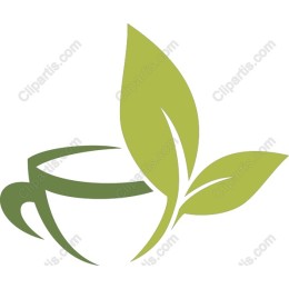 Fresh Green Cup with Leaves