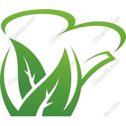 Eco-Friendly Cup and Leaf