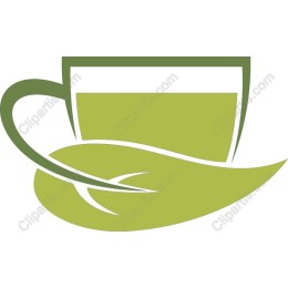 Green Tea Essence