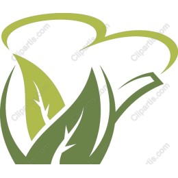 Elegant Teacup and Leaf