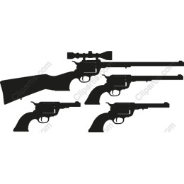 Classic Firearms Collection