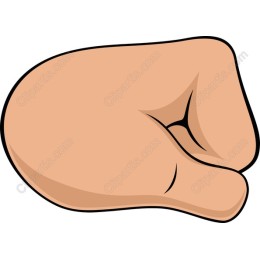 Fist Icon - Clenched Fist