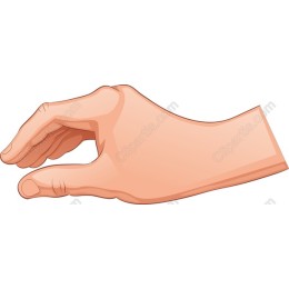 Human Hand
