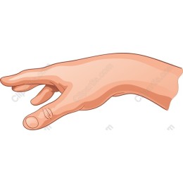Realistic Human Hand