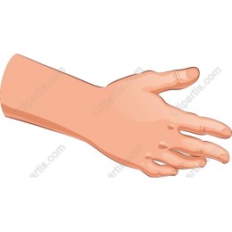 Human Hand