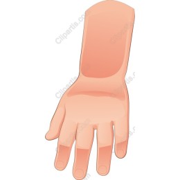 Human Hand
